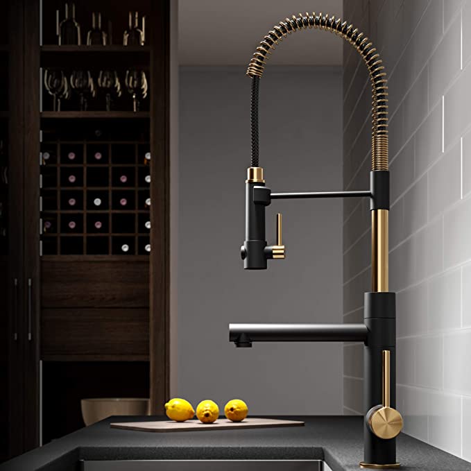 Kraus Artec Pro 2-Function Kitchen Faucet